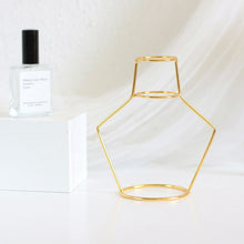 Load image into Gallery viewer, Retro Iron Line Table Flowers Vases Nordic Decoration Home Metal Plant Holder Nordic Styles Flower Vase Home Decor 8 Shapes